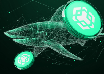Binance Coin Hits New ATH As XRP Investors Rotate Funds Into This New Altcoin