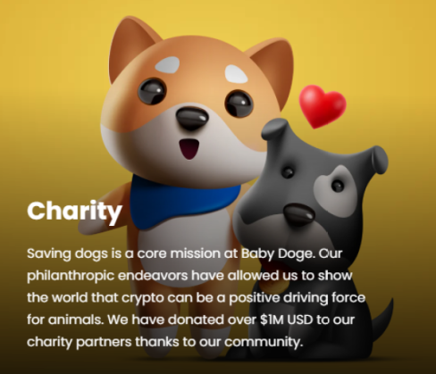 BabyDoge Charity Initiatives