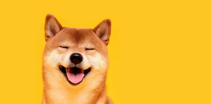 Target Yang Harus Diperhatikan Saat Harga Dogecoin Pulih Menuju 