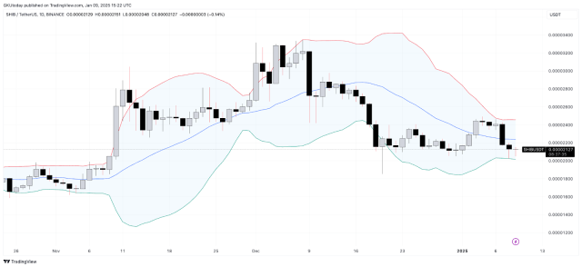 Shiba Inu koers verwachting: kan SHIB 1 euro worden in nieuwe rally nav stijgende whale activiteit?