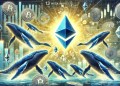 นักลงทุนรายใหญ่ 13 รายถือ Ethereum เกิน 10,000 เหรียญใน 24 ชั่วโมง