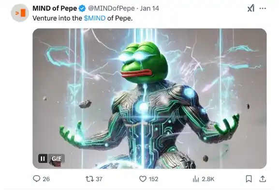 mind of pepe prevente