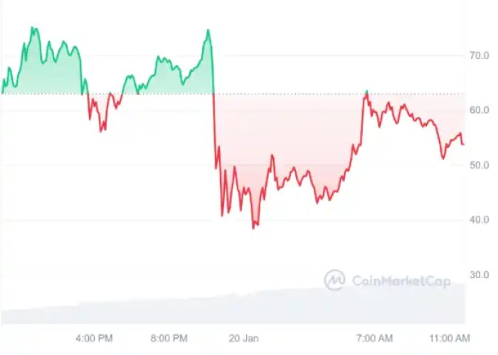 meme coin trump prix