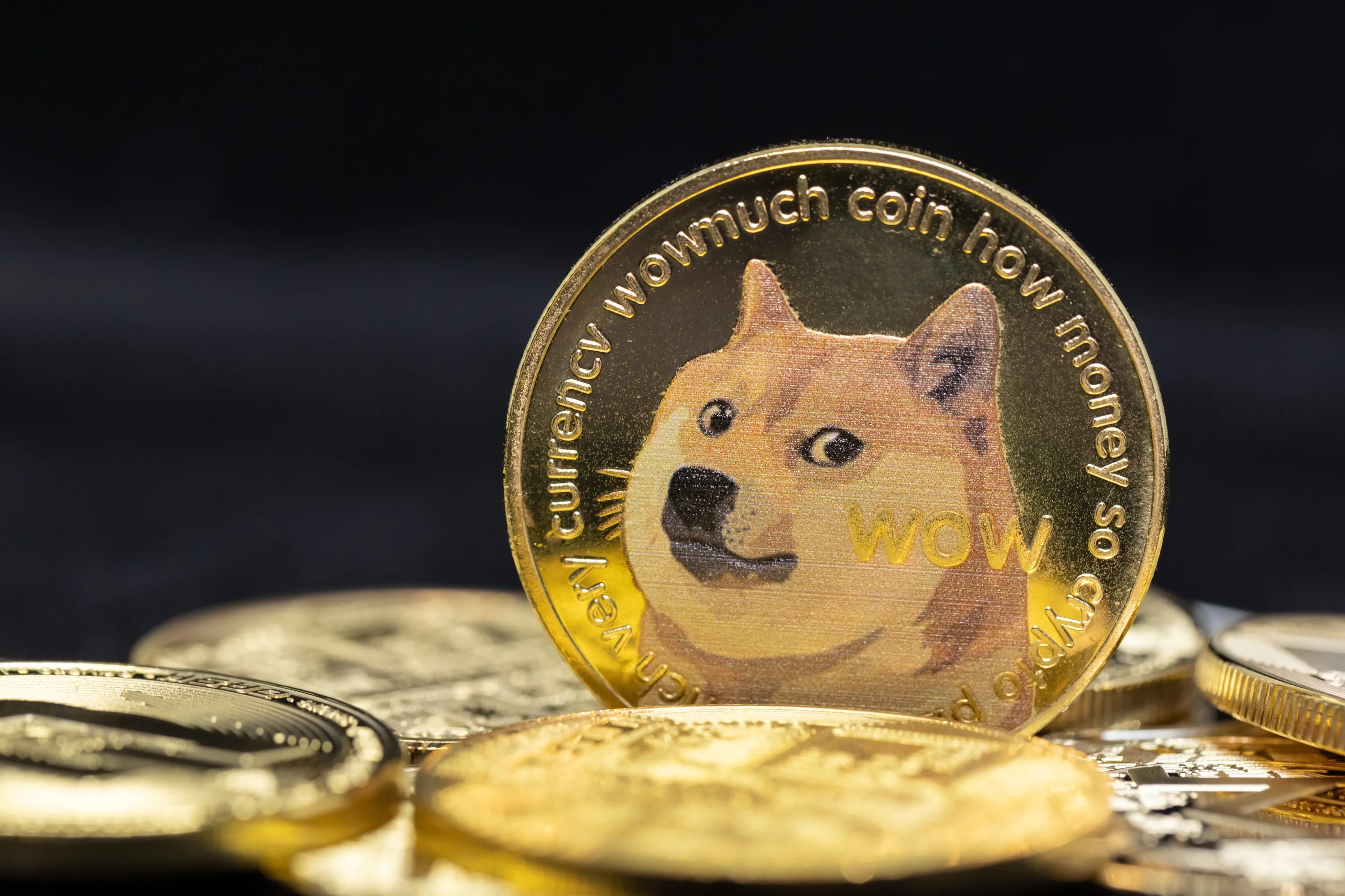 kan Dogecoin 1 euro worden?