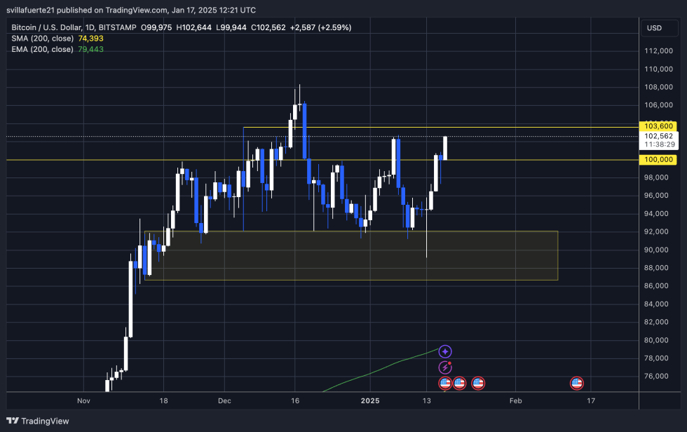 BTC Testing Local Highs Around $102K | Source: BTCUSDT chart on TradingView