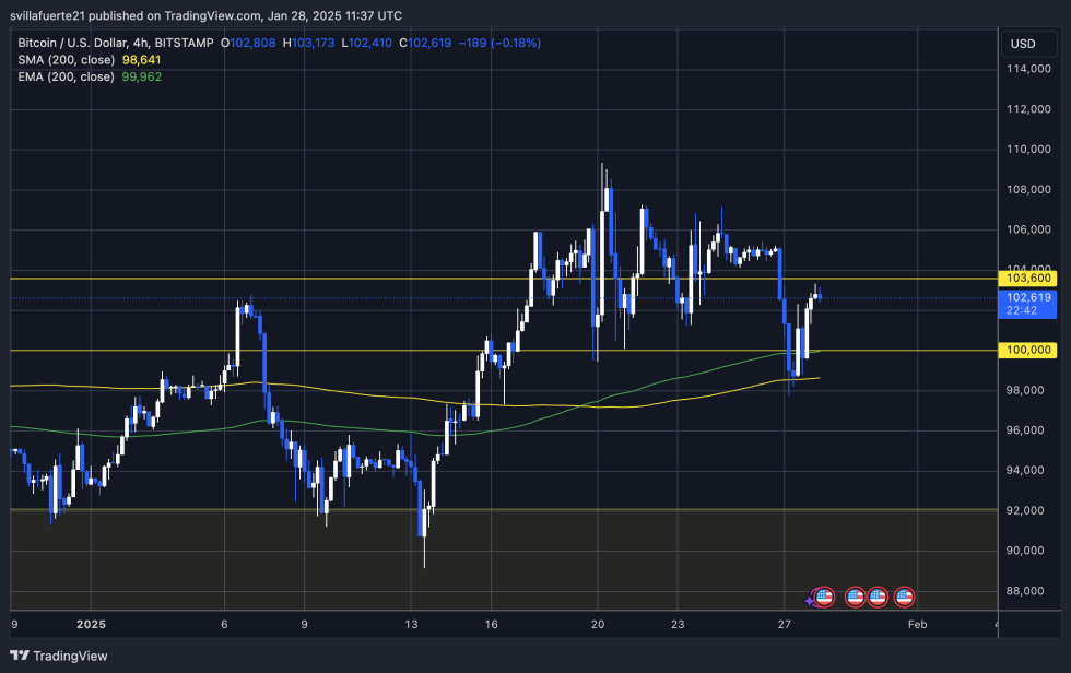 BTC testing liquidity between $100K and $105K | Source: BTCUSDT chart on TradingView