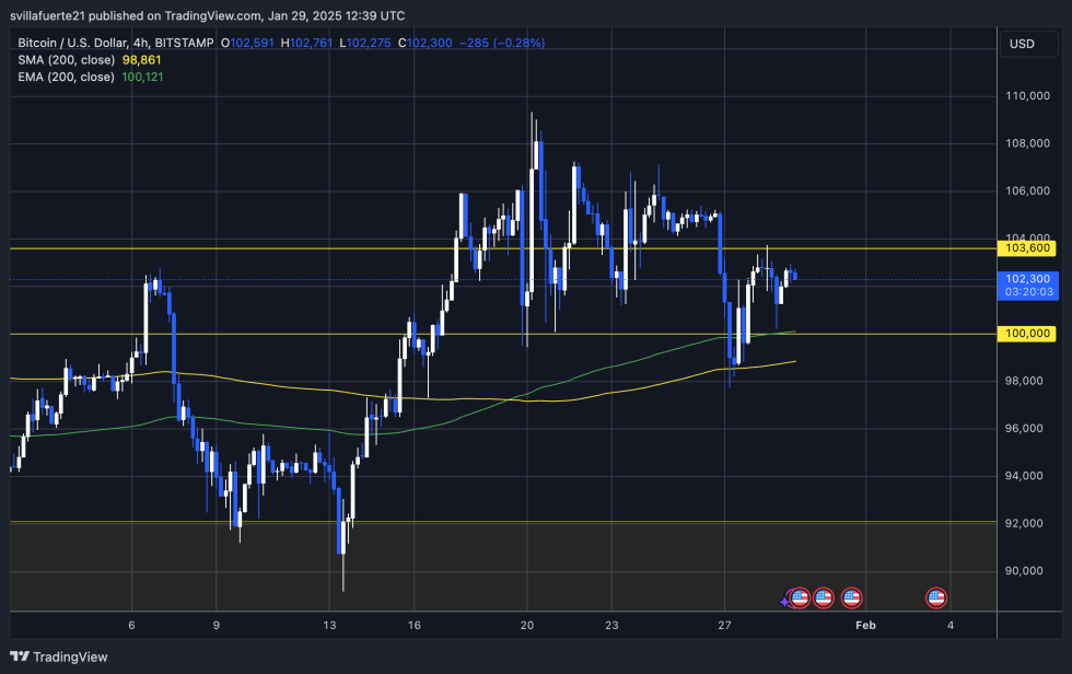 BTC facing crucial resistance at $103,600 | Source: BTCUSDT chart on TradingView