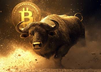 bitcoin bull