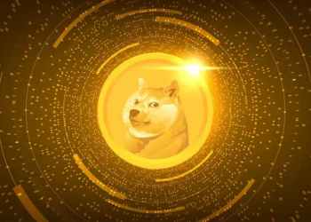Bitwise vraagt DOGE ETF aan