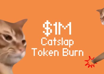 Catslap เผาเหรียญ $SLAP มูลค่า 1 ล้านดอลลาร์ เพื่อจุดประกายตลาดกระทิงเหรียญมีมในปี 2025