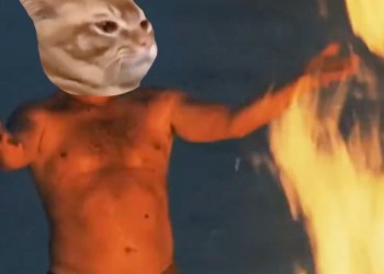 Burn de 1M$ de memecoins CatSlap : vers une frénésie des prix ?