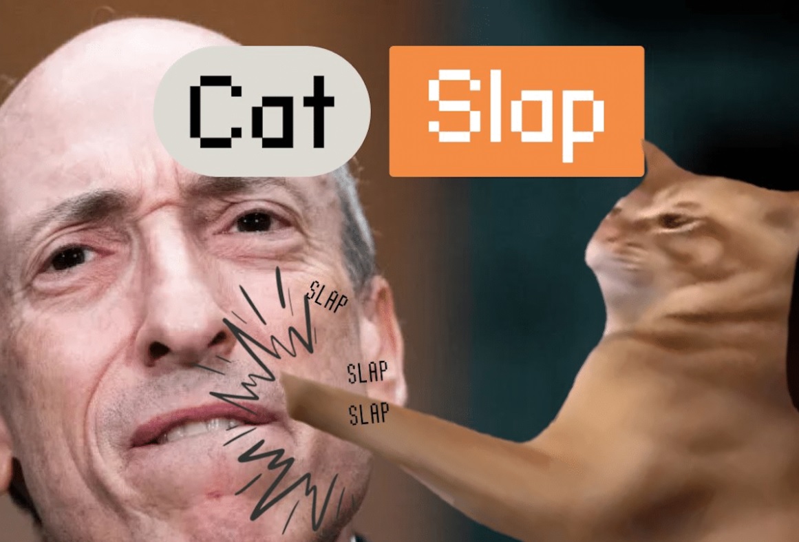 Catslap