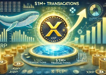 XRP Whale Activity Heats Up – Transactions Over $1 Million Grow On The Network