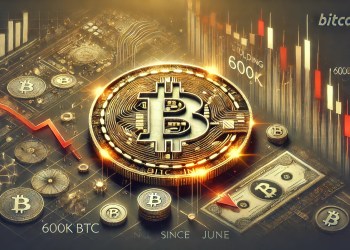 Bitcoin Wallets Holding 10-100 BTC Drop By 600K BTC Since June – Millionaires Cashing Out?