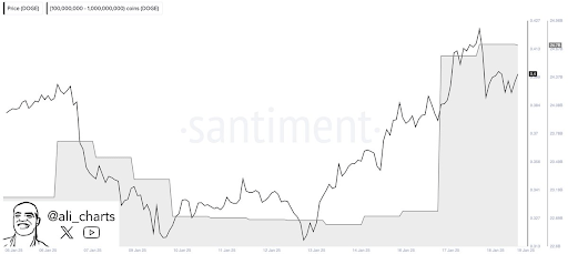 Here’s Why The Dogecoin And Shiba Inu Prices Crashed Violently