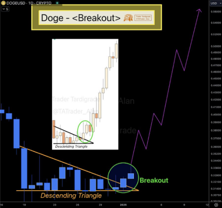 Dogecoin price 3