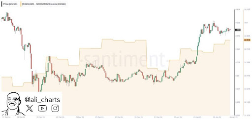 Dogecoin Whale Activity Explodes 400% In 24 Hours As Large Players Buy DOGE At A 'Discount'