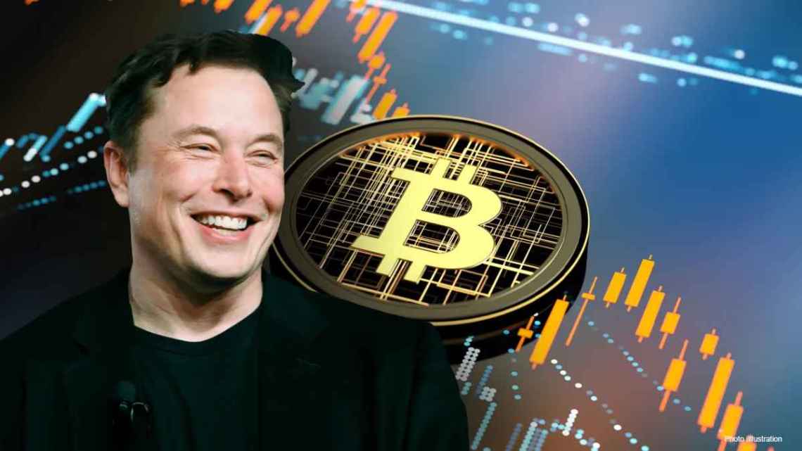Elon Musk kripto