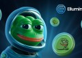 Pepe Coin (PEPE) Outperformed Bitcoin In 2024, 2025 Will Belong To This New Altcoin Set To Topple Cardano