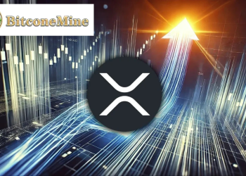 How a Crypto Enthusiast is Achieving Financial Freedom by Earning $30,500 a Day with (XRP DOGE)