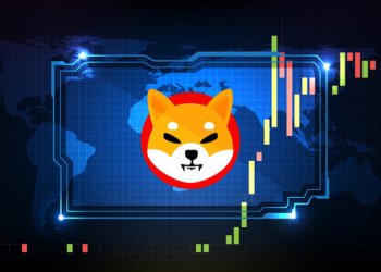 Shiba Inu Price Reversal Threatened As Large Transactions Suffer 61% Crash, Here Are The Numbers