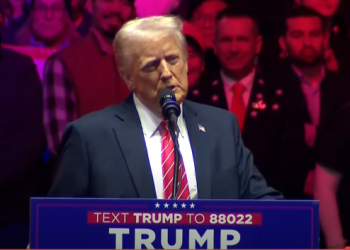 Official TRUMP chute : faut-il “buy the dip” ? Nos crypto alternatives