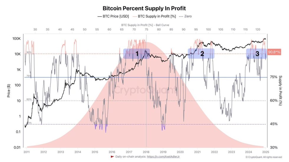 Bitcoin percent supply in profit | Source: Axel Adler on X