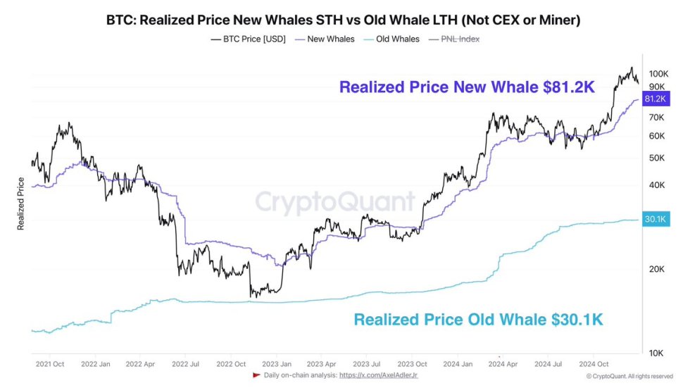 Bitcoin New Whales Entry Price Reveals Key Support Level – Analyst