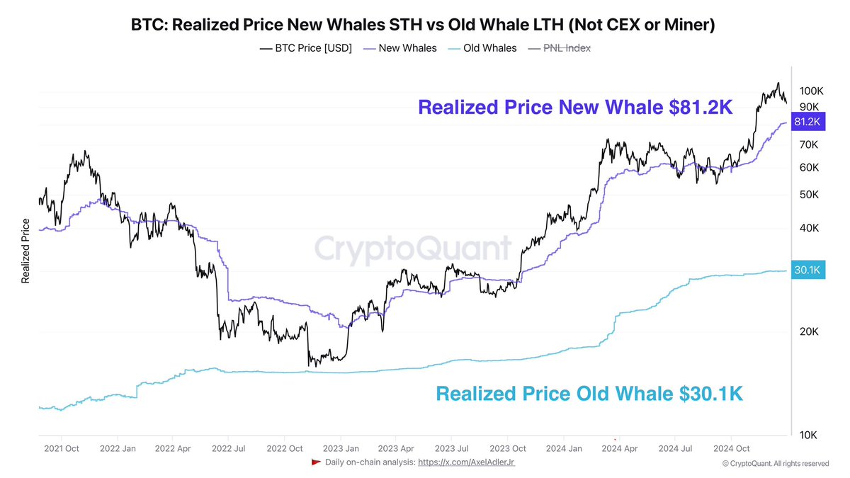 Bitcoin realized price New Whales STH vs Old Whales LTH