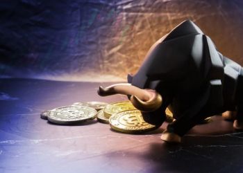 El próximo Bull Run podría suponer rendimientos notables para las nuevas criptomonedas.