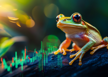 najlepsze krypto do kupienia w lutym