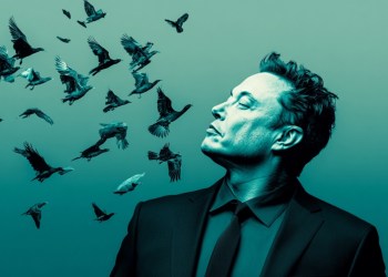 $VINE Pumps After Elon Musk Looks to Revive the App - $FLOCK to Follow?