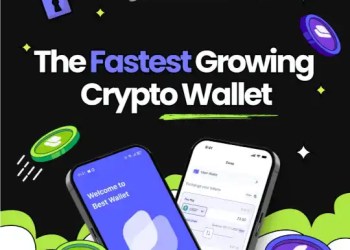 prevfente best wallet