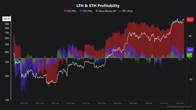 Bitcoin Market Remains Profitable Despite Recent Dip