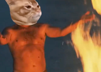 캣슬랩 소각 임박