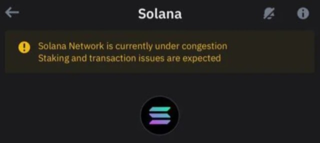 Is Solaxy Meme Coin the Solution?