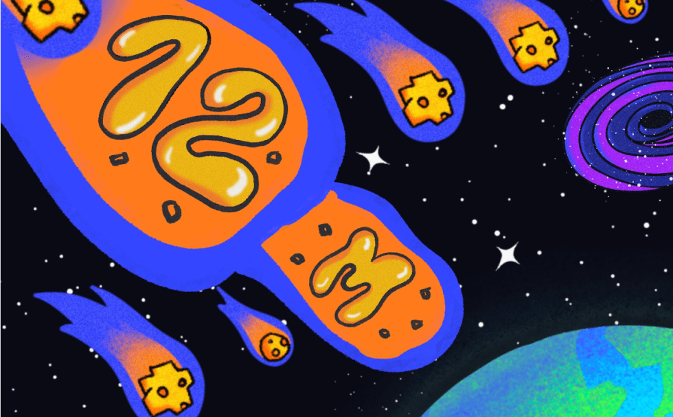 트럼프 코인 솔라나 네트워크 혼잡으로 솔락시 인기