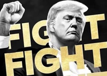 El token $TRUMP cae y MIND of Pepe destaca