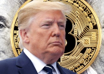 trump-doge-memecoin