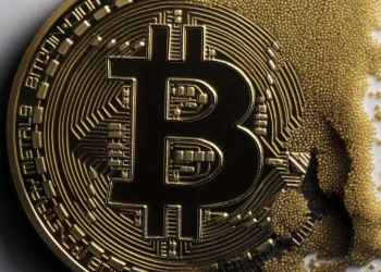 Bitcoin Kollaps: Genau jetzt Memecoins kaufen?