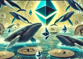 Cá voi Ethereum đang tích cực gom hàng, 430.000 ETH đã được mua vào chỉ trong 72 giờ