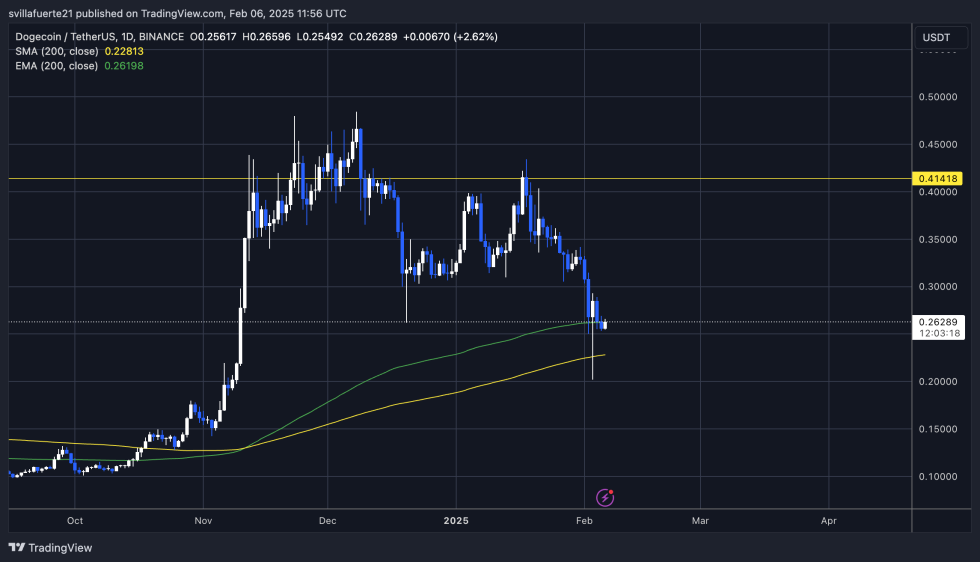  DOGEUSDT chart on TradingView