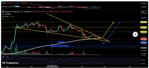 This Analyst Predicted The Dogecoin Price Crash Below $0.2, Here’s The Rest Of The Forecast