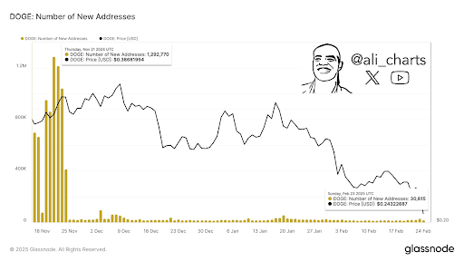 Dogecoin Open Interest Crashes Over  Billion Since January, Will The Bloodbath Continue?