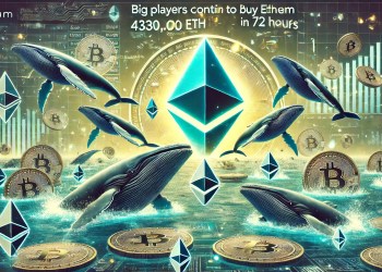 Ethereum whale koopt $162 miljard in één dag - institutionele tsunami begint