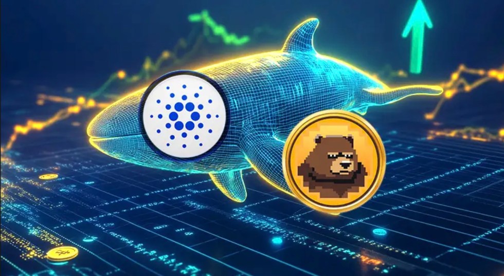 Meme Coin Poised for Explosive Growth