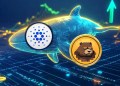 Meme Coin Poised for Explosive Growth