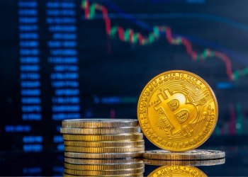 Mức giá mua vào trung bình của cá voi mới tạo ra hỗ trợ vững chắc cho Bitcoin
