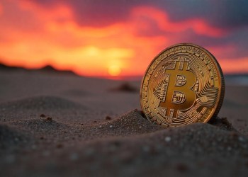 Những nhà đầu tư Bitcoin tích cực xây dựng lưới an toàn