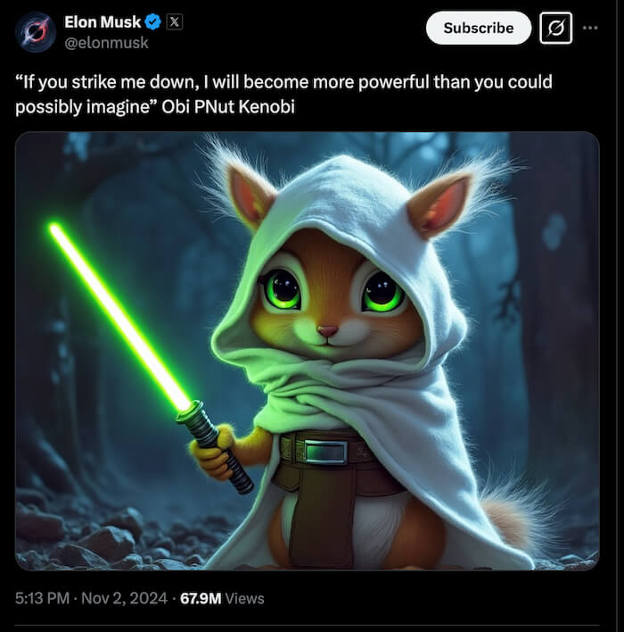 Peanut the Squirrel $PNUT Elon Musk